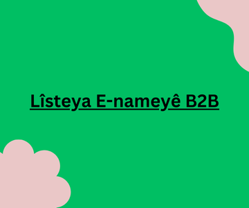 Lîsteya E-nameyê B2B